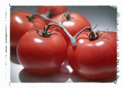 トマトは毒だった？ビタミンやリコピンの健康効果