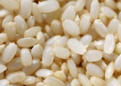 発芽玄米の栄養 ギャバ増加