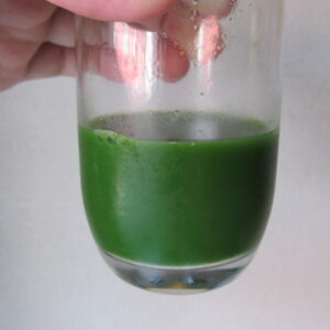 グラスに入れたキューサイの青汁