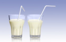 ビタミンＢ１・Ｂ２ 糖質・脂質の代謝に 食前の牛乳はおすすめ